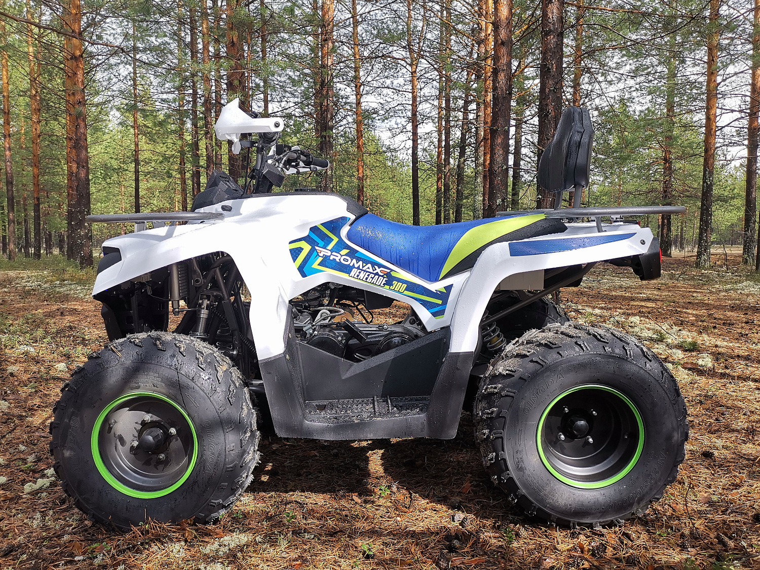 Квадроцикл PROMAX RENEGADE 280 (2025) в Ижевске