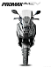МаксиСкутер PROMAX-HONDA ADV 250(49) EFI (Inspired by HONDA) в Ижевске