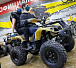 Квадроцикл PROMAX ATV 250 (2025) в Ижевске