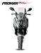 МаксиСкутер PROMAX-HONDA ADV 150 (49) (Inspired by HONDA) в Ижевске
