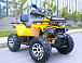 Квадроцикл MOTOLAND (МОТОЛЕНД) VOX200 WILD TRACK X PRO (баланс. вал) в Ижевске