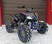 Квадроцикл PROMAX RAPTOR 300 NEW RedBull в Ижевске