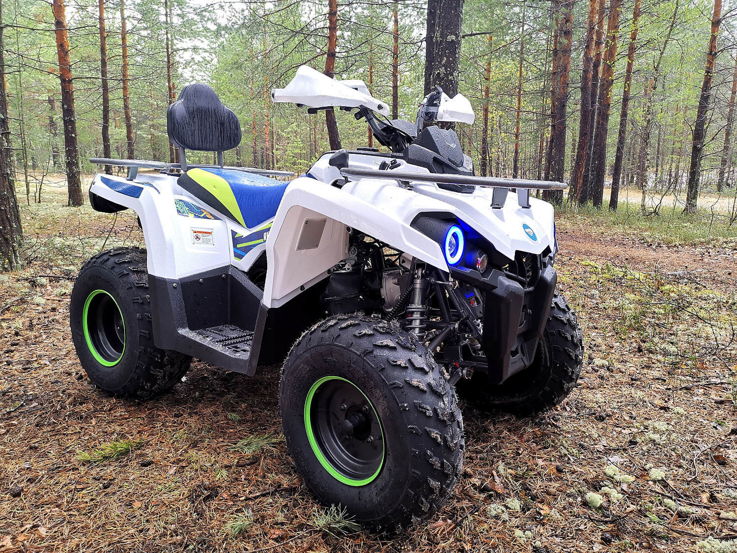 Квадроцикл PROMAX RENEGADE 280 (2025) в Ижевске