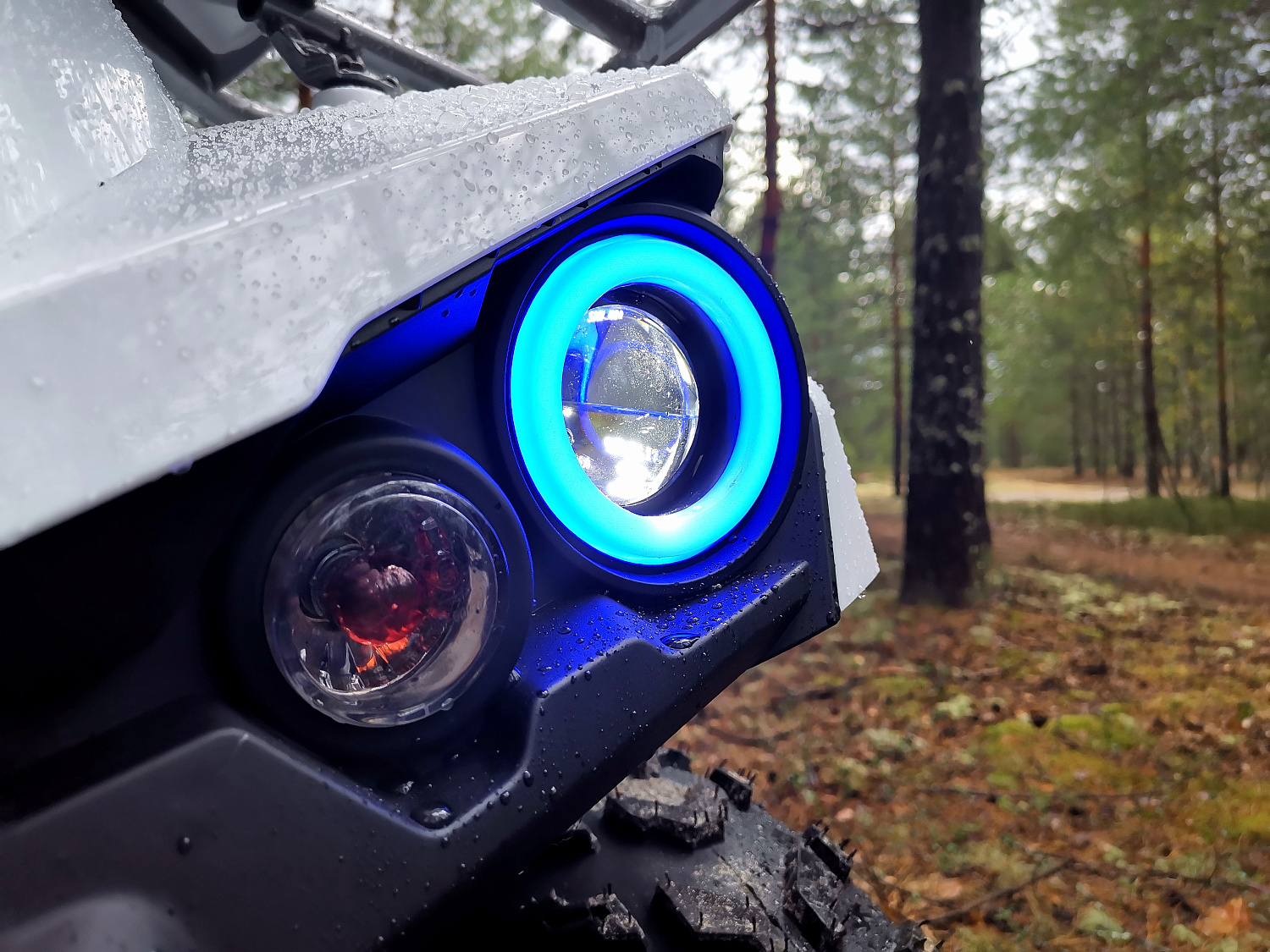 Квадроцикл PROMAX RENEGADE 280 (2025) в Ижевске