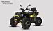 Квадроцикл PROMAX TAURUS 300 MAX-PRO LONG в Ижевске